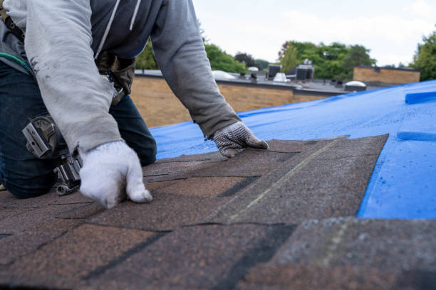 Best Roof Gutter Cleaning  in Woodville, FL
