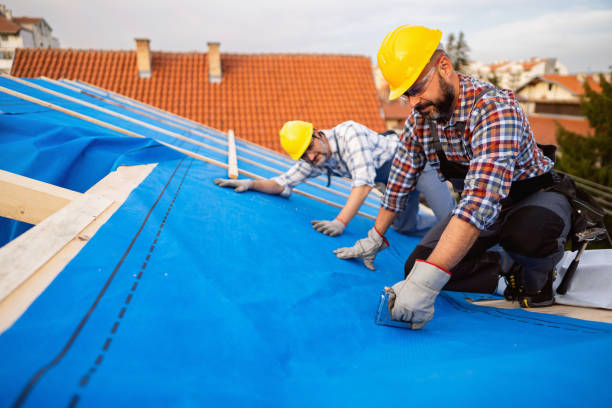 Quick and Trustworthy Emergency Roof Repair Services in Woodville, FL