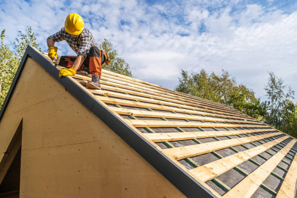 Best Roof Maintenance Services  in Woodville, FL